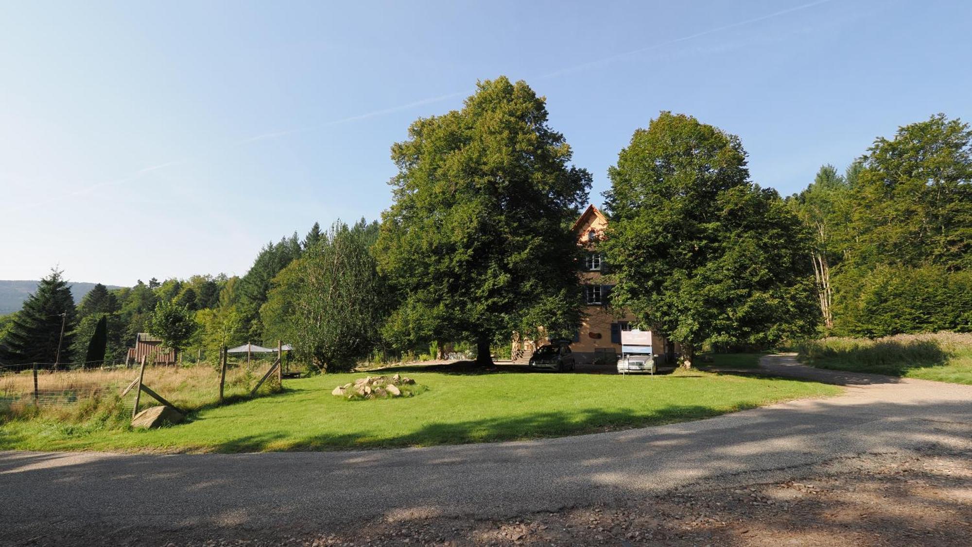 Villa Louisental - Gruppenunterkunft Fuer Selbstversorger Le Hohwald Kültér fotó